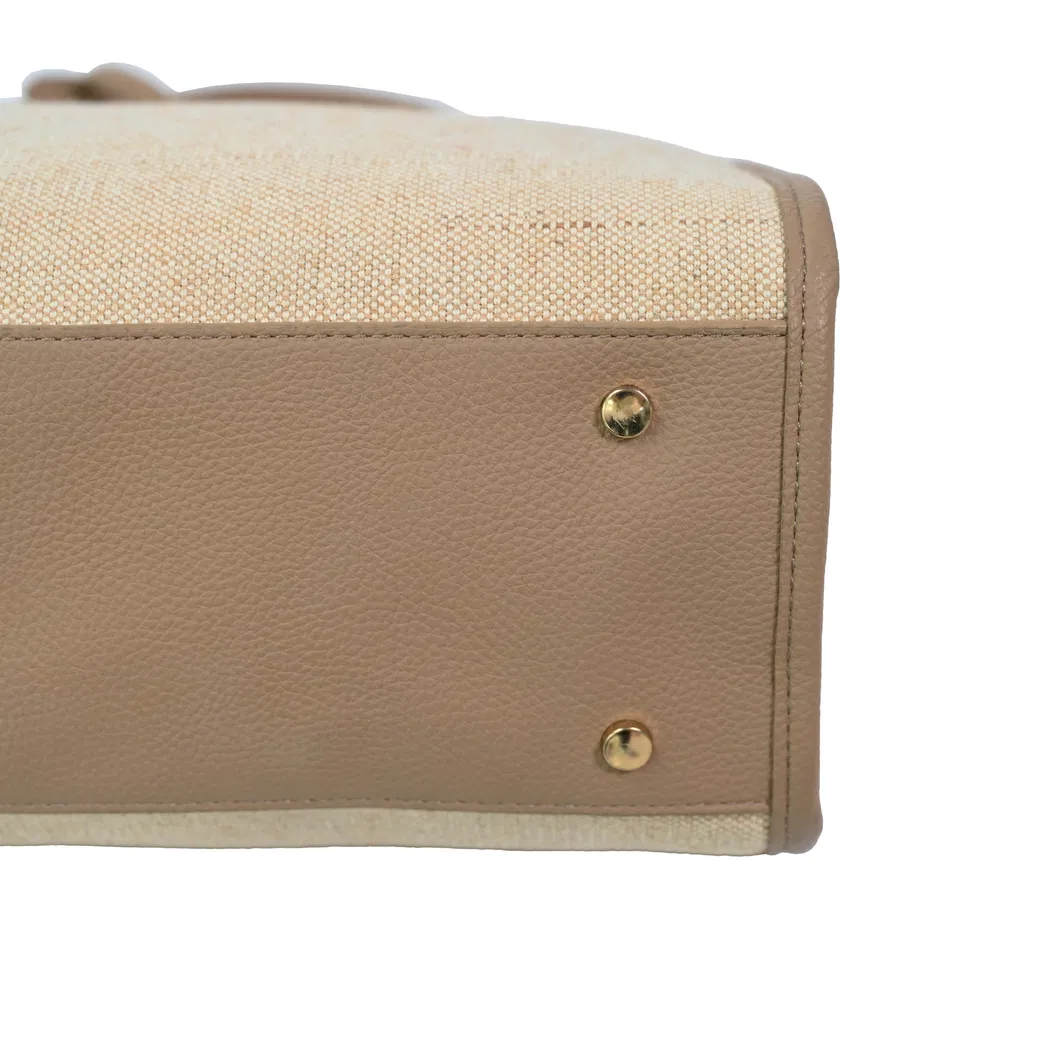 Chic Women′s Tote Bag with Elegant Brown Accents for Shopping