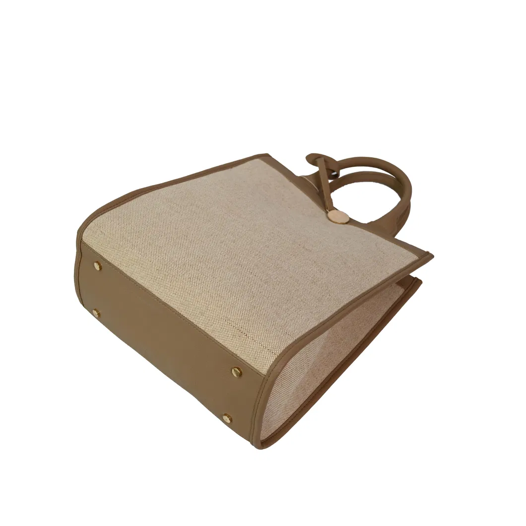Chic Women′s Tote Bag with Elegant Brown Accents for Shopping