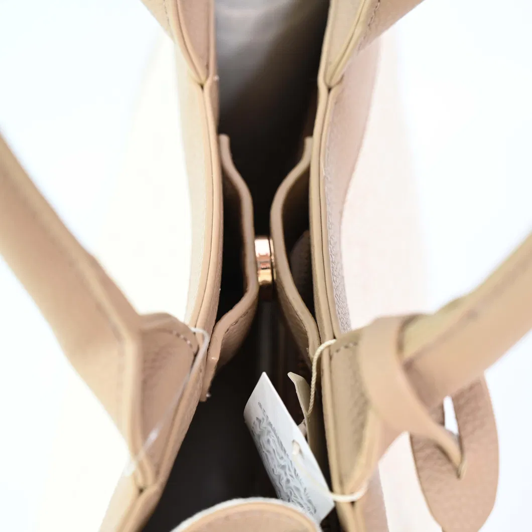 Chic Women′s Tote Bag with Elegant Brown Accents for Shopping