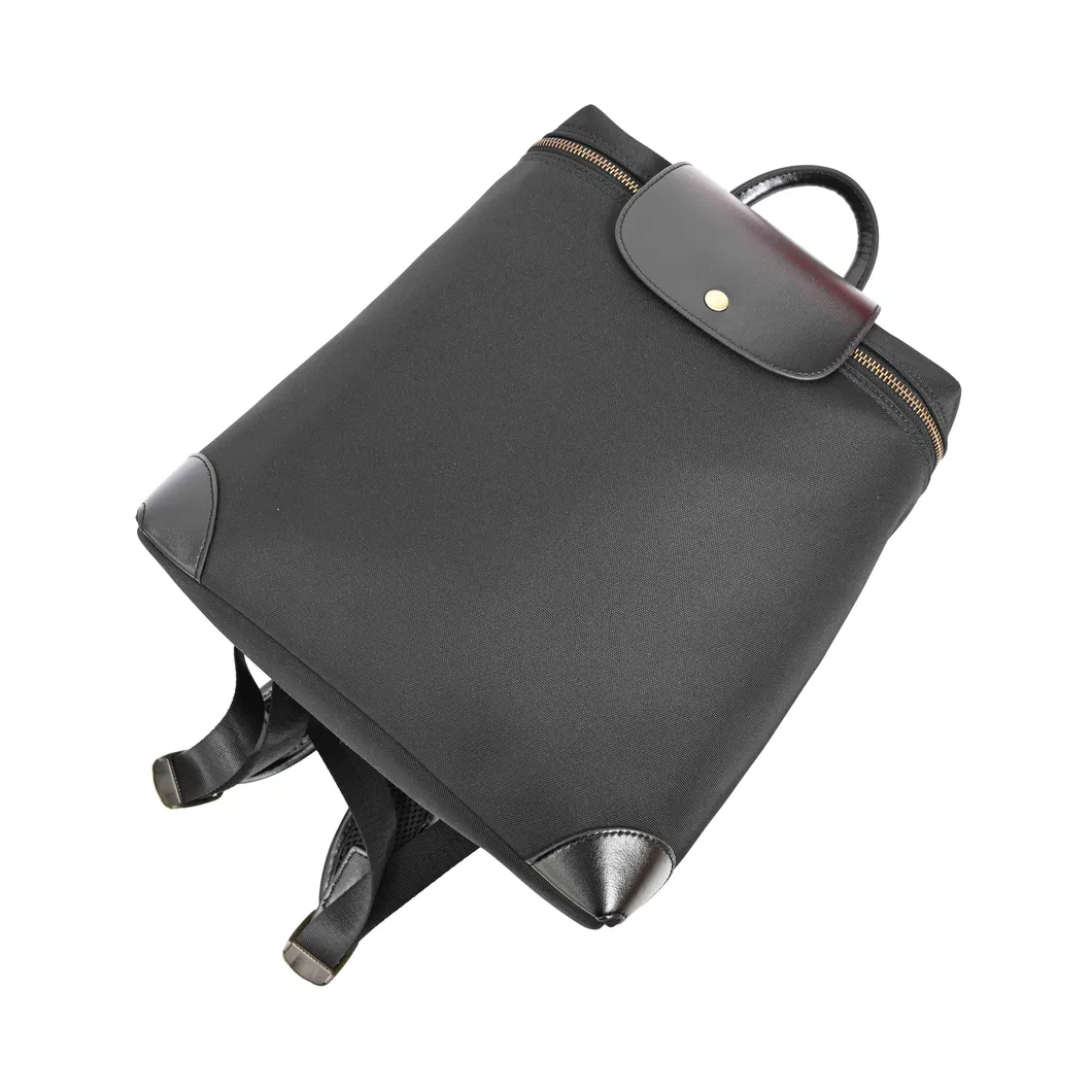 a Minimalist and Stylish Backpack Featuring a Blend of Nylon and Leather