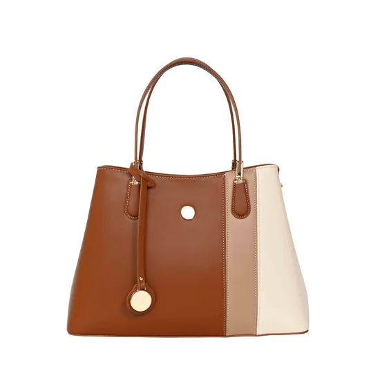Chic Beige & Brown Handbag with a Timeless Statement of Sophistication