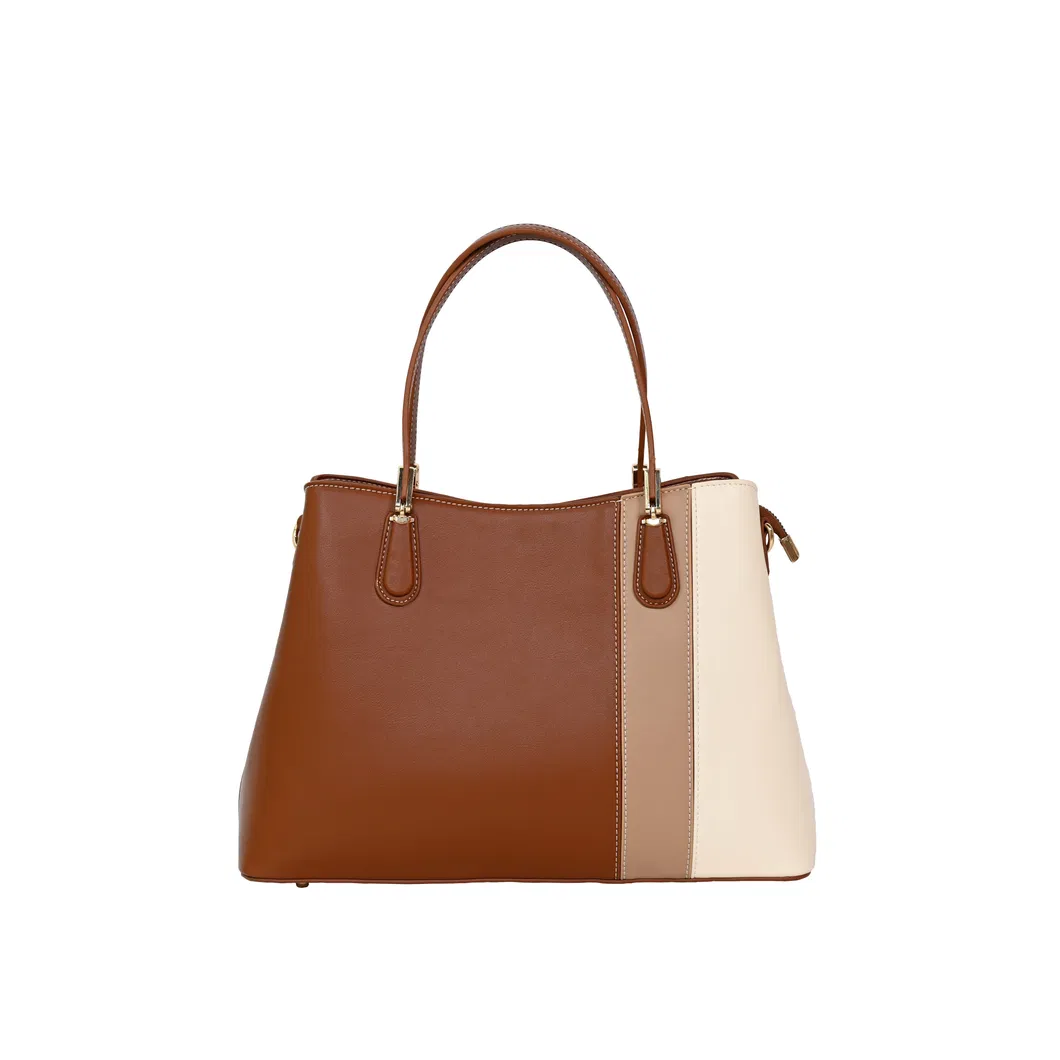 a Fashionable and Simple Ladies&prime; Handbag with Beige and Brown Splicing