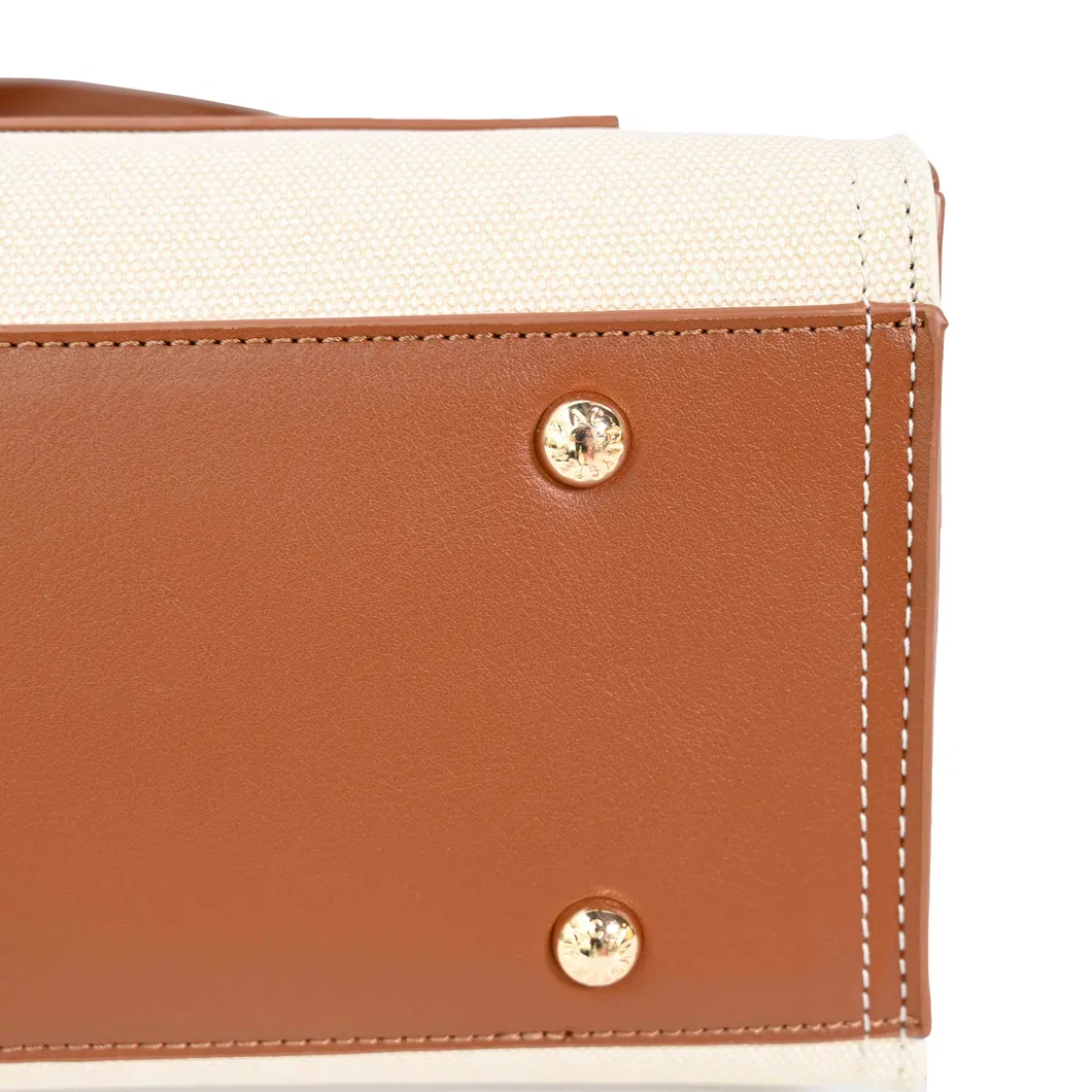 Sophisticated Brown Handbag for Women: Highlighting a Luxe Appeal