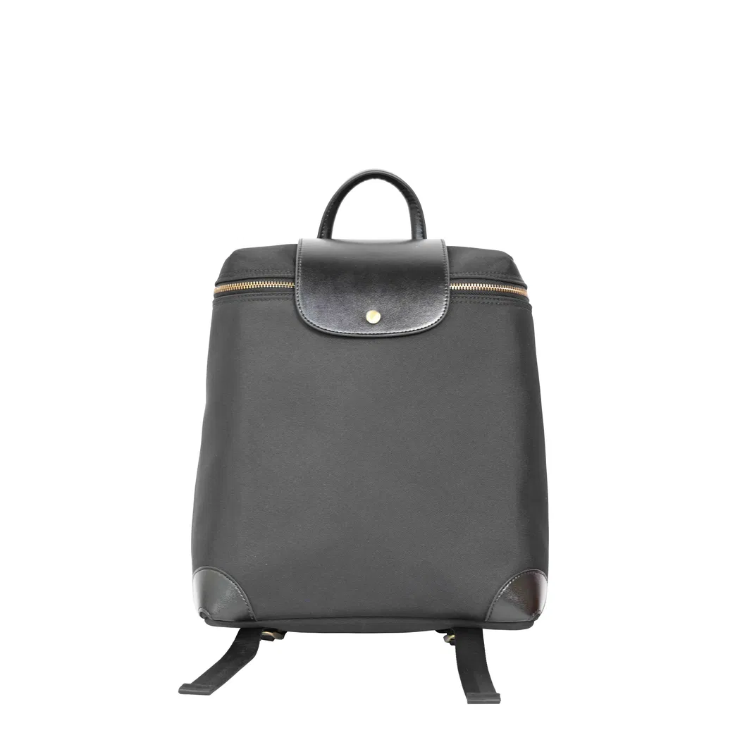 a Minimalist and Stylish Backpack Featuring a Blend of Nylon and Leather
