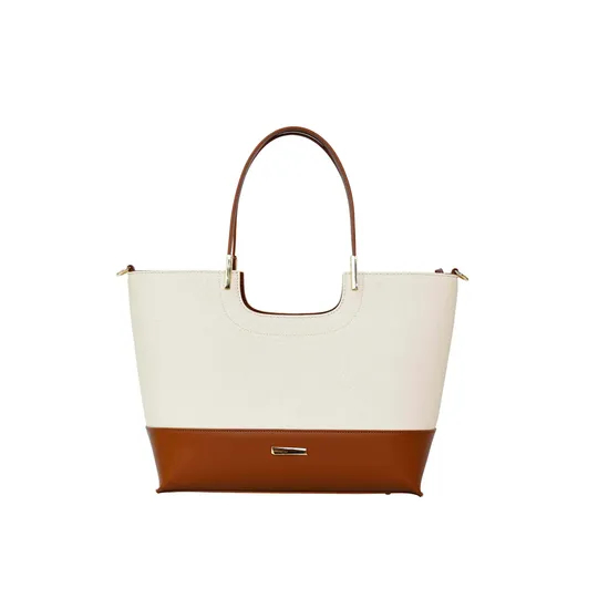 Chic Brown and Beige Handbag for Trendy Women’ S Fashion