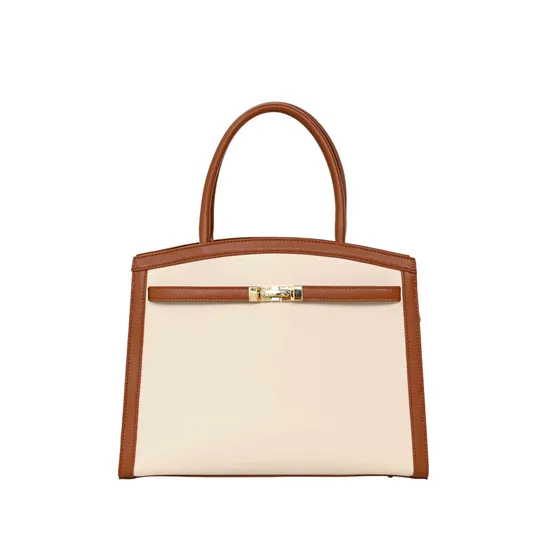 Chic Brown Handbag for Women with Elegant Golden Buckle