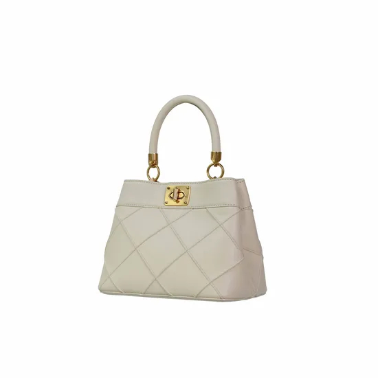 Chic Beige Handbag for Women with Stylish Gold Accents