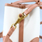 Trendy Brown Women′s Small Backpack for Everyday Style