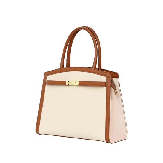 Elegant Brown Women′s Handbag with Gold Buckle Accent