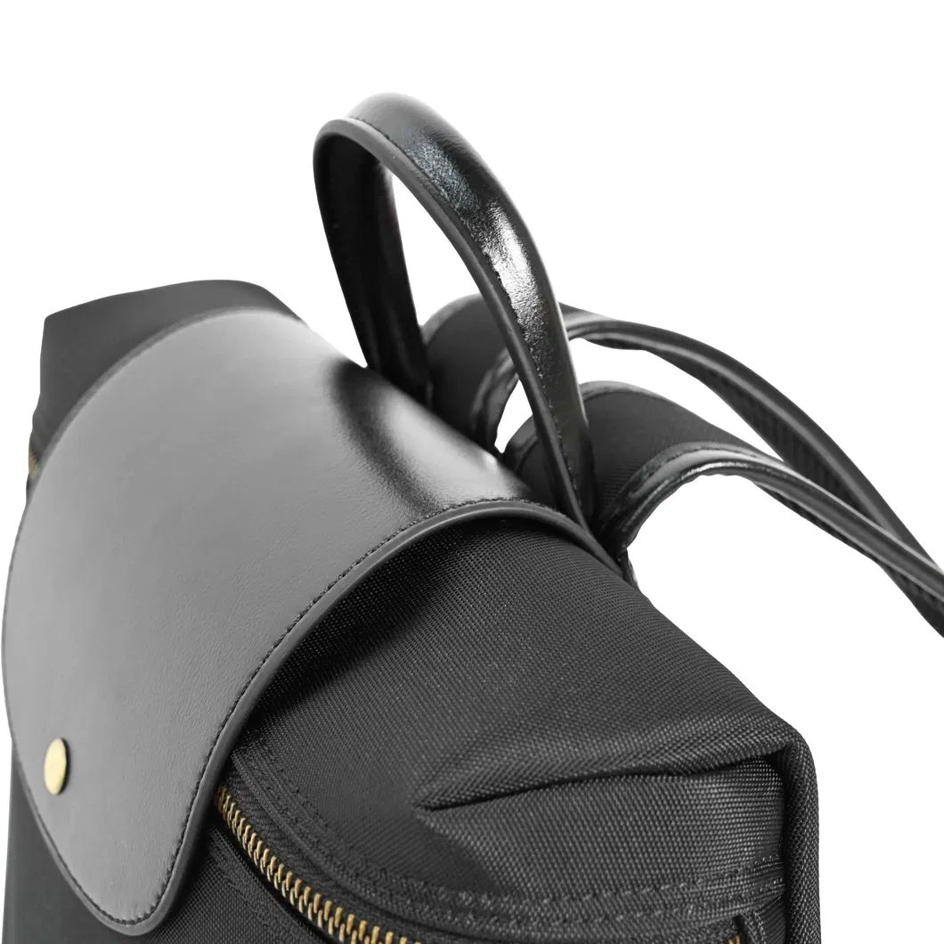 a Minimalist and Stylish Backpack Featuring a Blend of Nylon and Leather